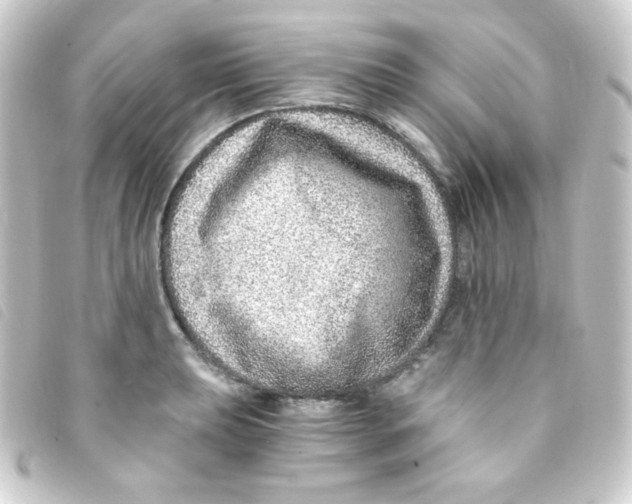 X0000093231039200710241232