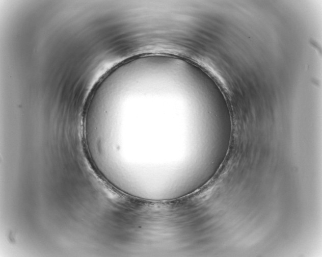 X0000093231040200710241232