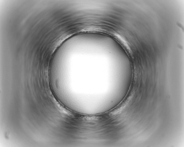 X0000093231041200710241232