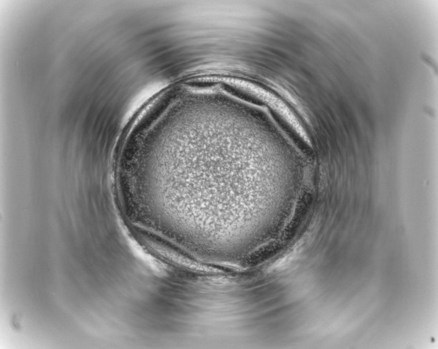 X0000093231042200710241232