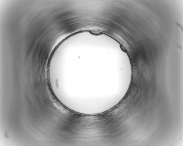 X0000093231044200710241232