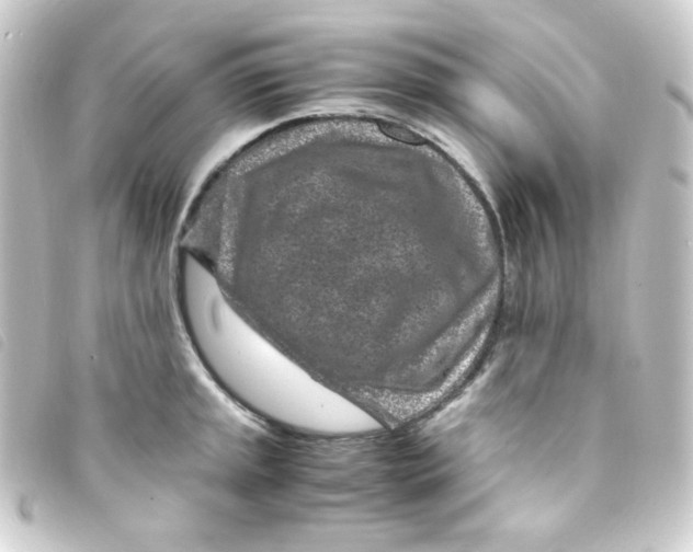 X0000093231045200710241232