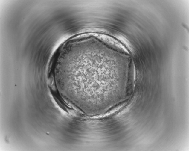 X0000093231046200710241232