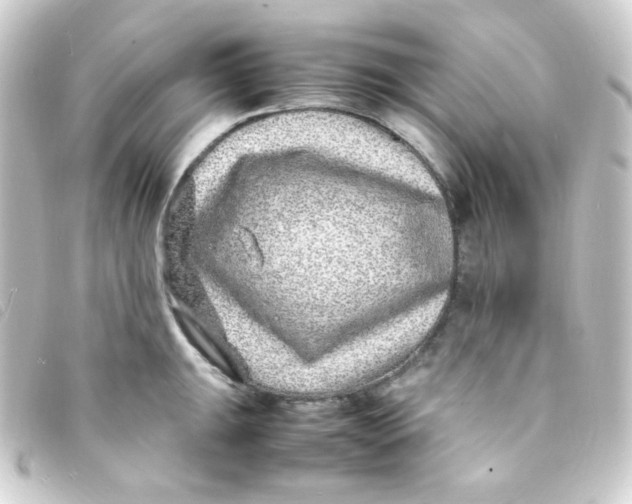 X0000093231047200710241232