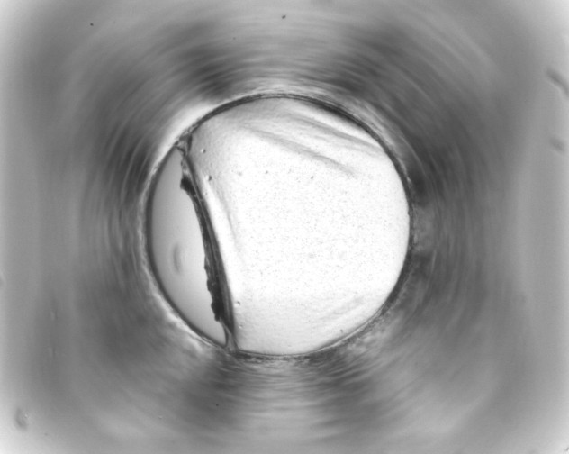 X0000093231048200710241232