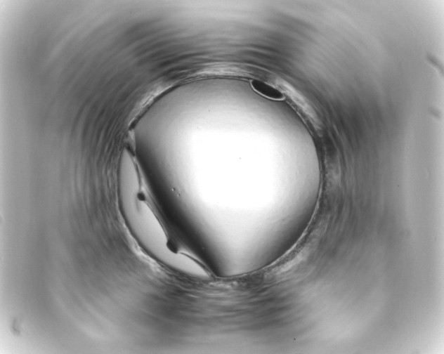 X0000093231049200710241232