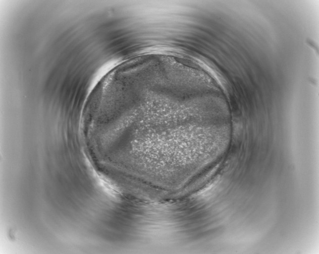 X0000093231050200710241232