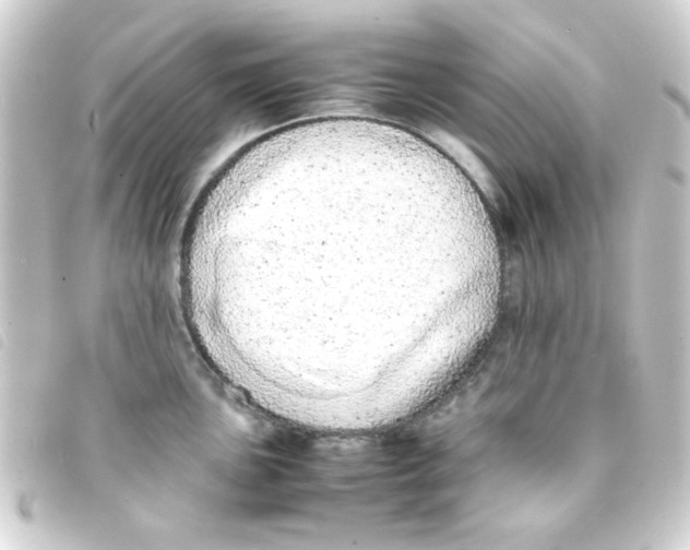 X0000093231051200710241232