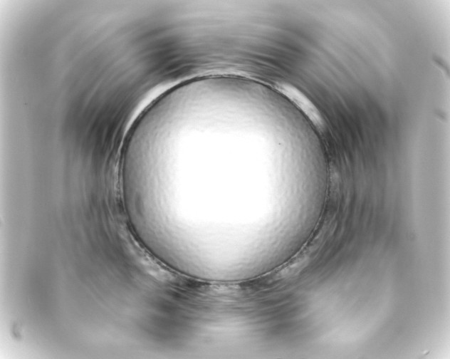 X0000093231052200710241232