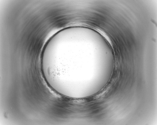 X0000093231053200710241232