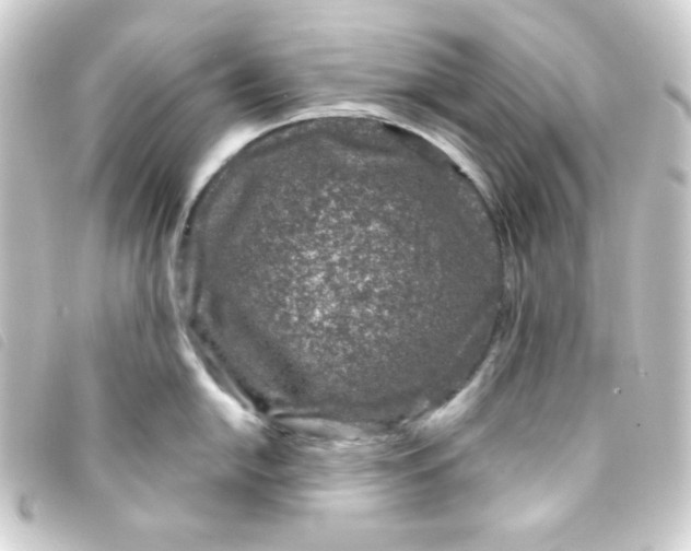 X0000093231054200710241232