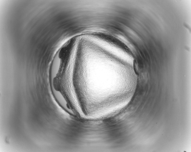 X0000093231055200710241232