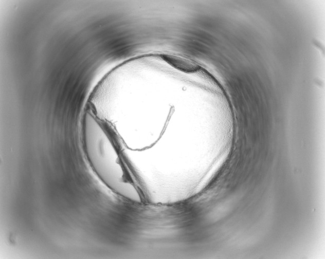 X0000093231056200710241232