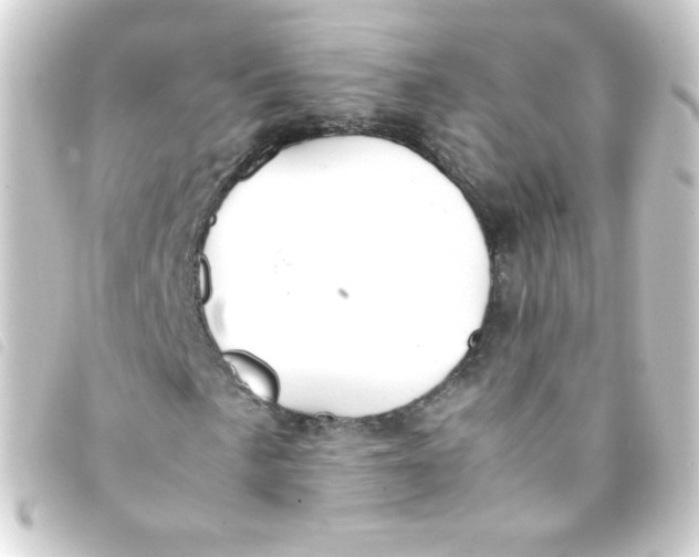 X0000093231057200710241231