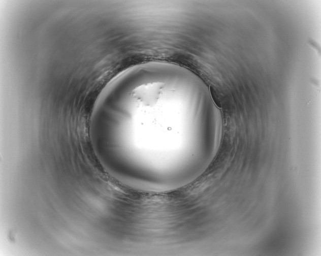 X0000093231058200710241231