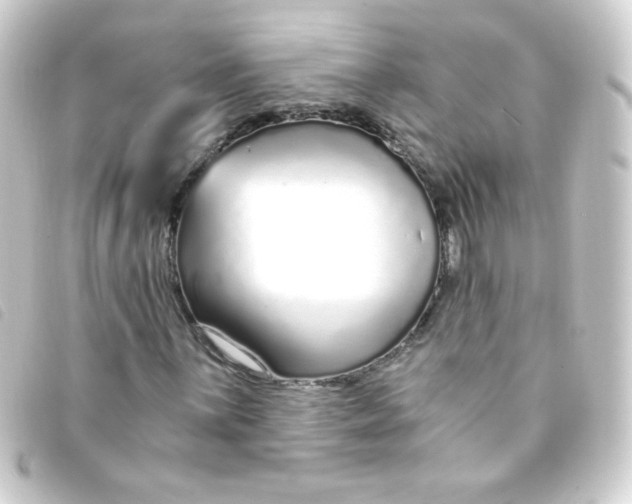 X0000093231059200710241231