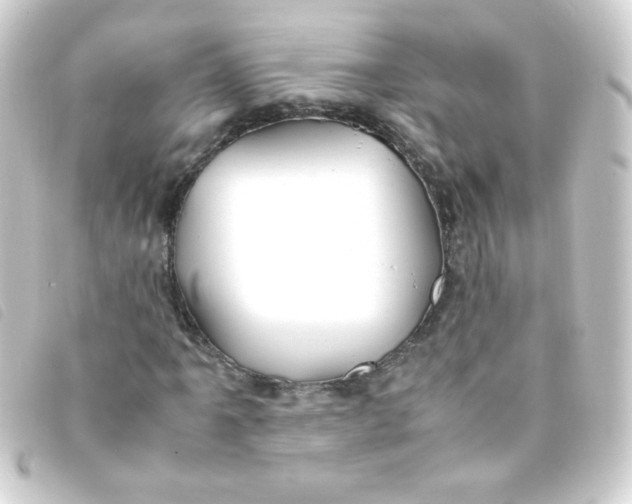 X0000093231061200710241231