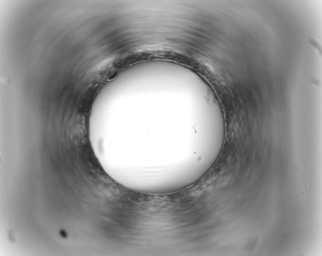 X0000093231062200710241231