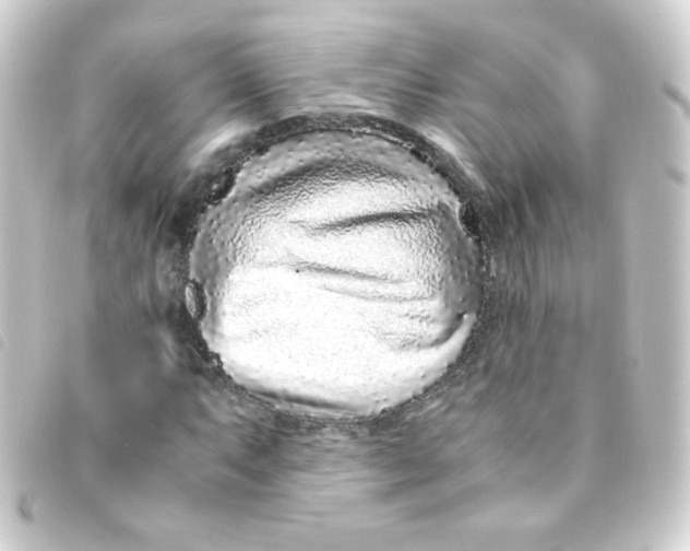 X0000093231063200710241231