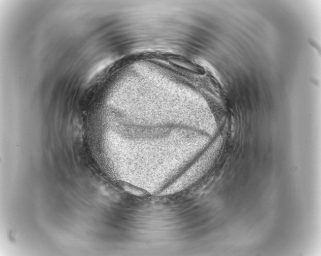 X0000093231064200710241231