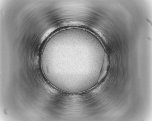 X0000093231066200710241231