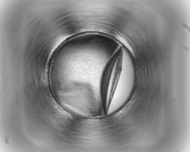 X0000093231068200710241231