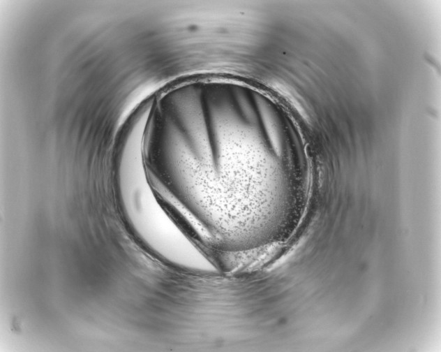 X0000093231069200710241231