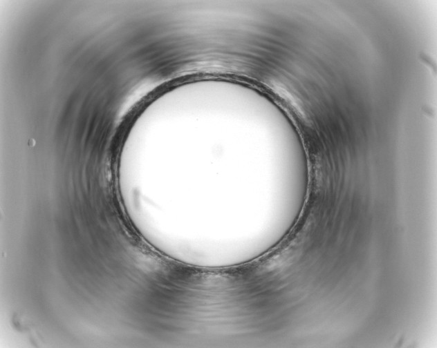 X0000093231070200710241231