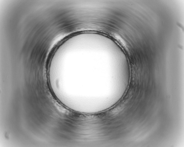 X0000093231072200710241231