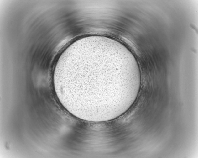 X0000093231074200710241231