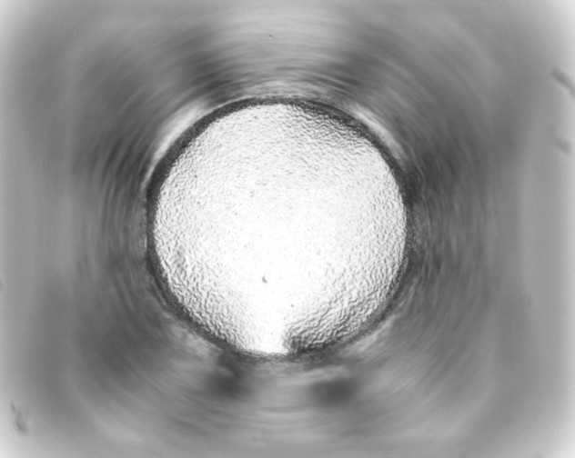 X0000093231075200710241231