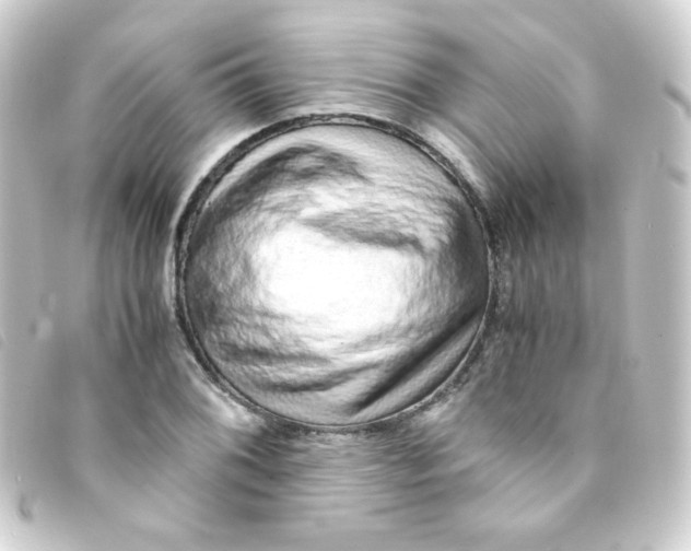 X0000093231076200710241231