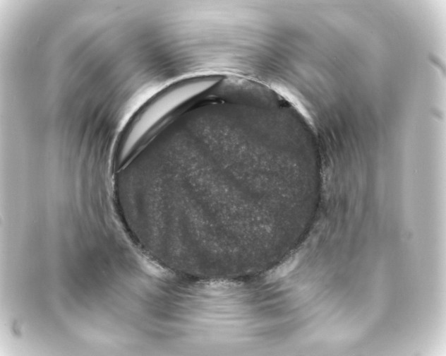 X0000093231077200710241231