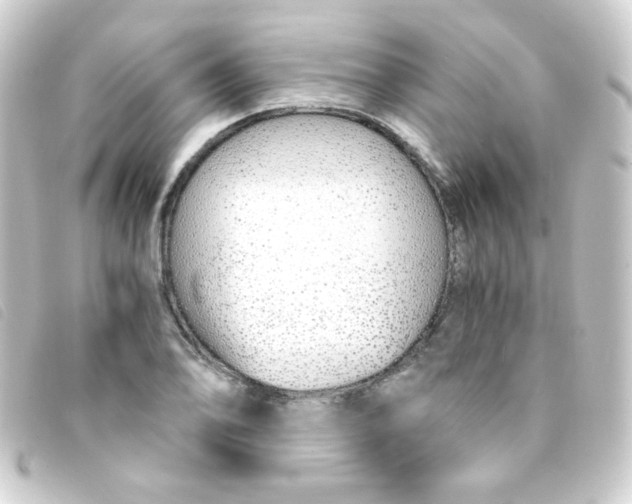 X0000093231078200710241231