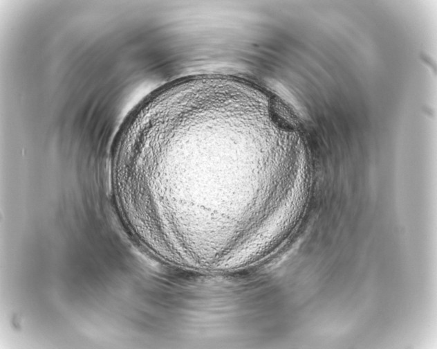 X0000093231079200710241231