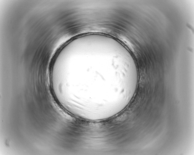 X0000093231080200710241231