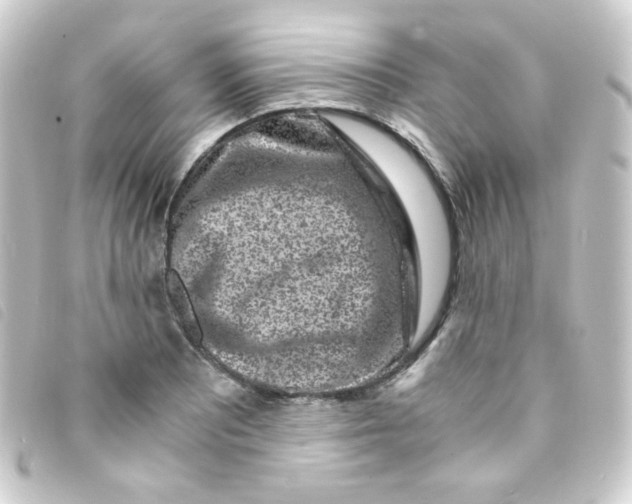 X0000093231081200710241231