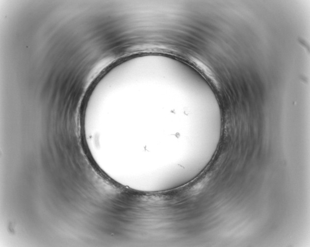 X0000093231082200710241231