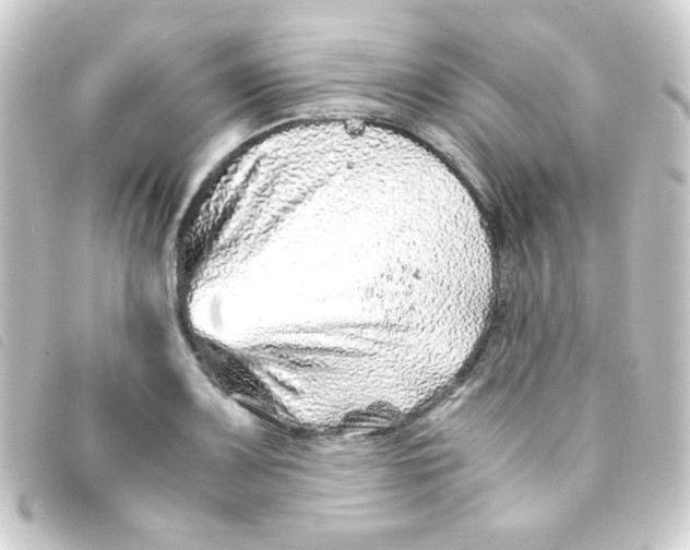 X0000093231083200710241231