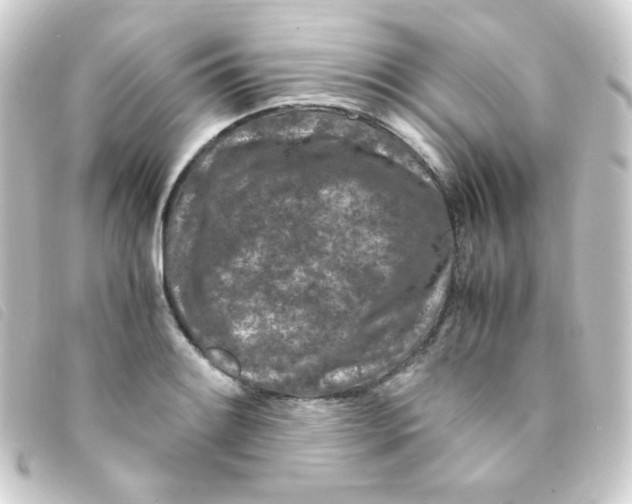 X0000093231084200710241231