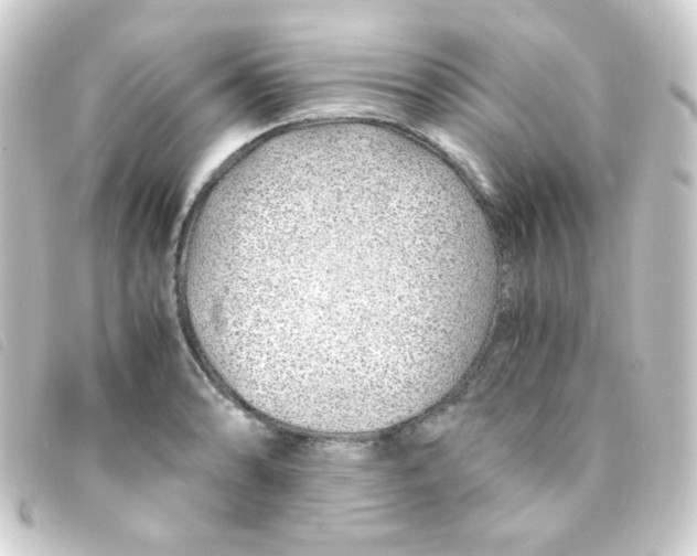 X0000093231086200710241231