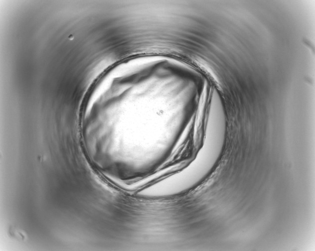 X0000093231087200710241231