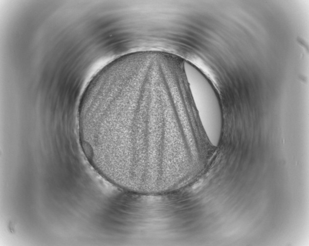 X0000093231088200710241231