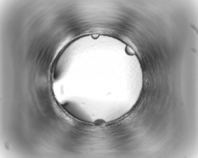 X0000093231091200710241231