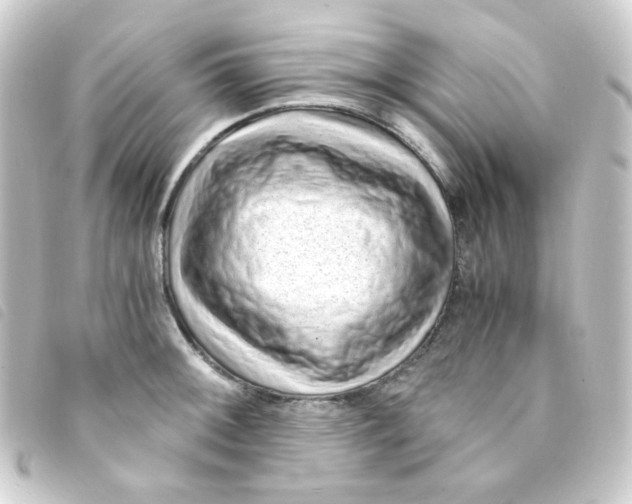 X0000093231092200710241231