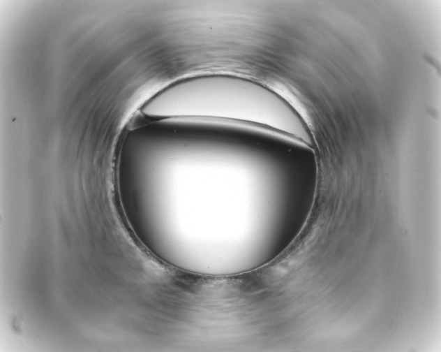 X0000093231093200710241231