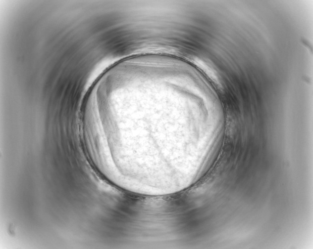 X0000093231094200710241231