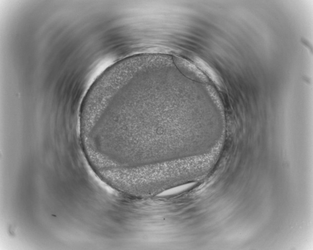 X0000093231095200710241231