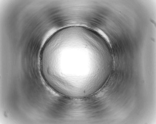 X0000093231096200710241231