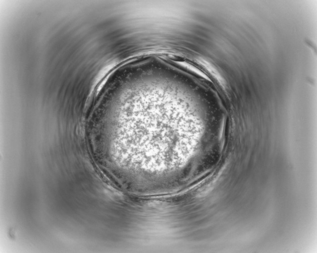 X0000093231097200710241231